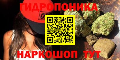 Альфа ПВП Чапаевск