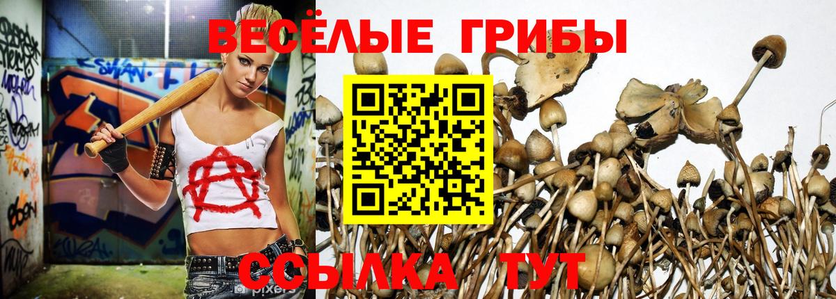 Тавда  Псилоцибиновые грибы MAGIC MUSHROOMS  Вход с VPN 