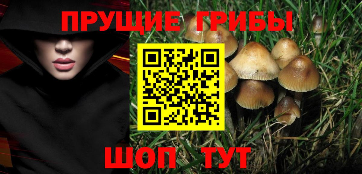 Псилоцибиновые грибы Magic Shrooms Тавда